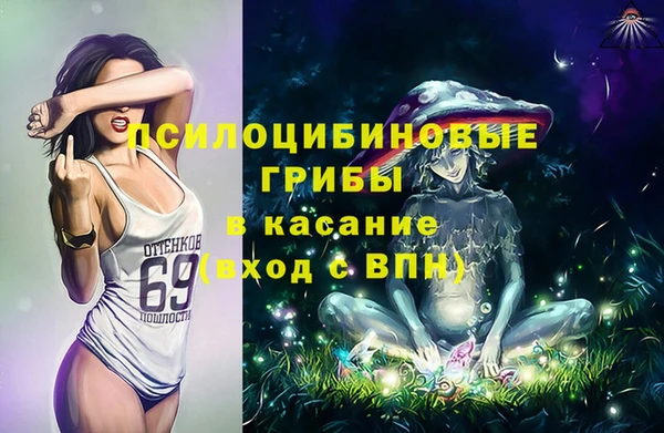 jwh Белокуриха