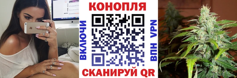 Конопля гибрид  купить   Горняк 